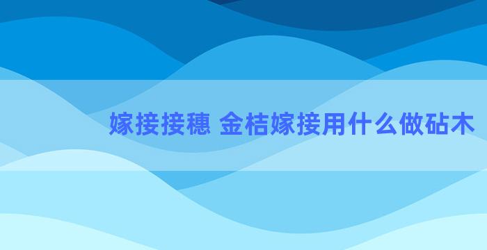 嫁接接穗 金桔嫁接用什么做砧木